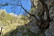 Monte Cancervo ad anello dalla Pianca sui sentieri CAI 102-130-131 il 1 maggio 2019 - FOTOGALLERY